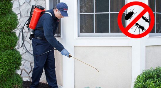 Bafra Kemirgen İlaçlama böcek ilaçlama ve haşere kontrolü — ilaclama-tr.com